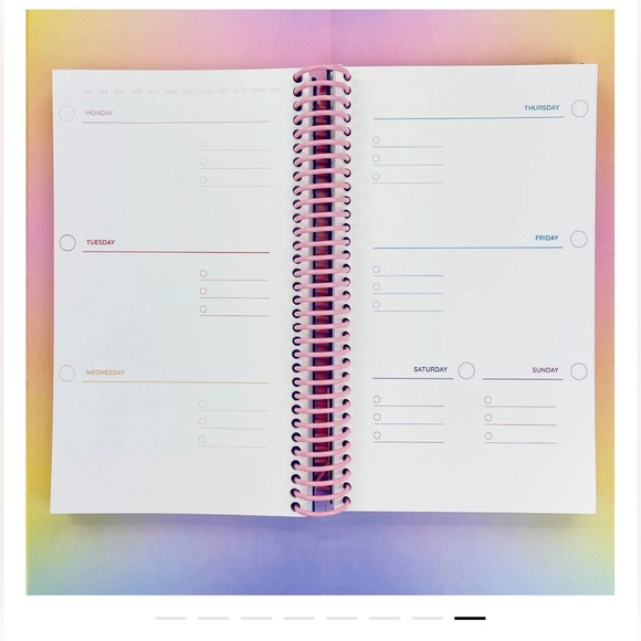 Pipsticks 12 Month Rainbow Planner 🌈 undated monthly planner ⚡️ - Picture 11 of 11
